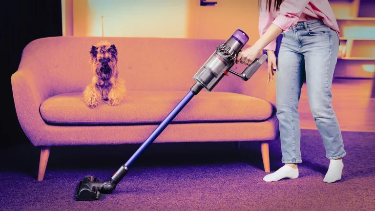 8 Best Cordless Stick Vacuums in 2025