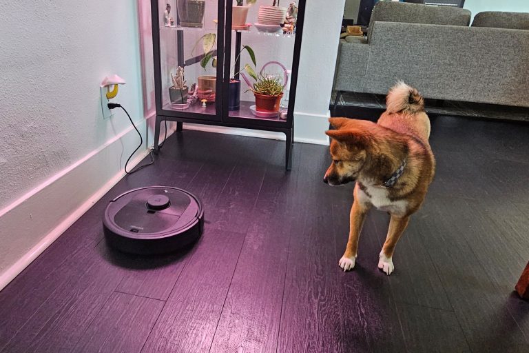 8 Best Robot Vacuums for Dog Hair in 2025