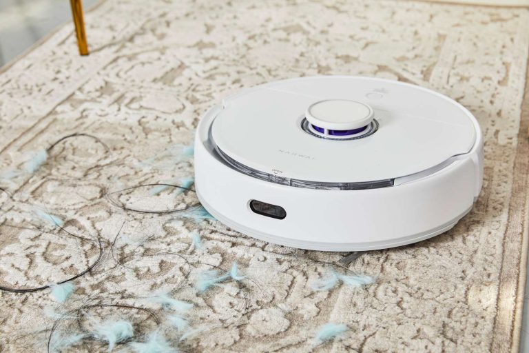 8 Best Robot Vacuums for Pet Hair in 2025