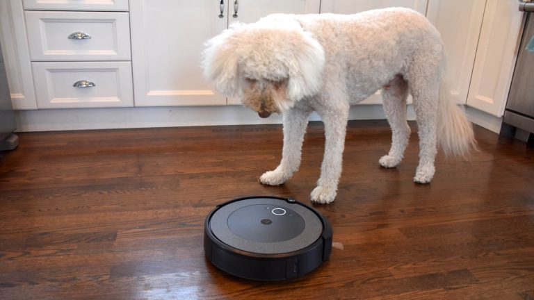 8 Best Robot Vacuums for Pet Hair And Litter in 2025