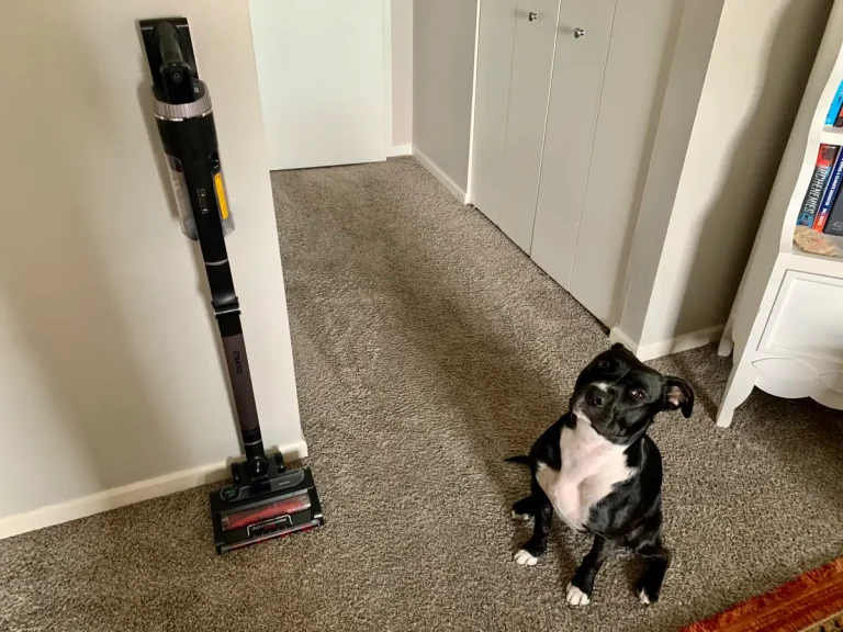 8 Best Small Vacuums for Pet Hair in 2025