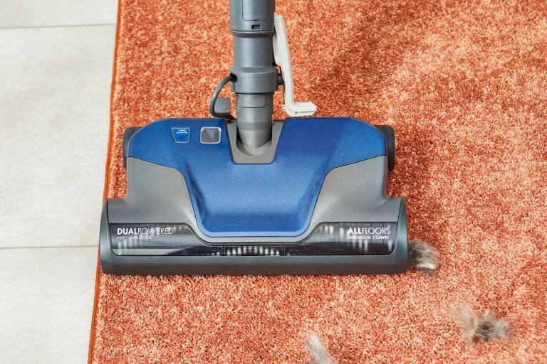 8 Best Upright Vacuums for Pet Hair in 2025