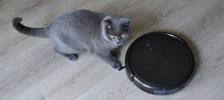 8 Best Vacuums for Cat Litter in 2025
