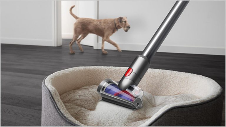 8 Best Vacuums for Cleaning Pet Beds in 2025