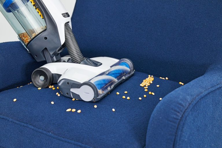 8 Best Vacuums for Dog Hair on Furniture in 2025