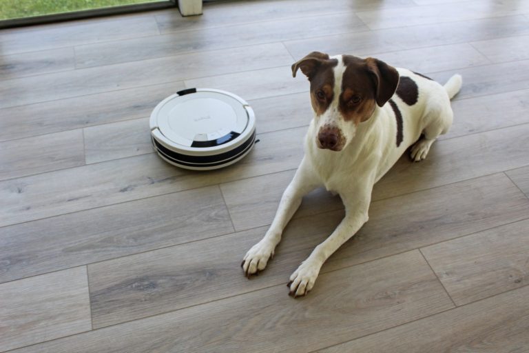 8 Best Vacuums for Pet Hair And Allergies in 2025