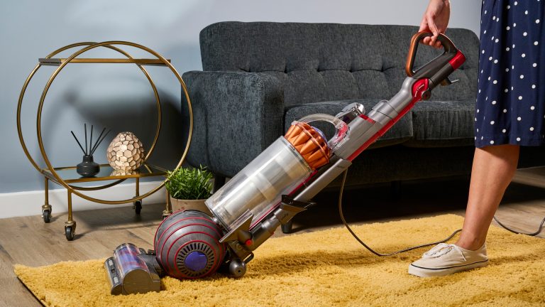 8 Best Vacuums for Thick Pet Hair in 2025